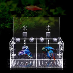 B&K Acrylic Transparent Fish Tank Breeding Isolation Box (2 Sizes)