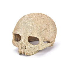 Realistic Skull Aquarium Ornament Resin Cave Decoration