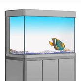 Blue White Aquarium Background Sticker (2 Sizes)