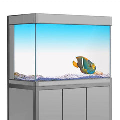 Blue White Aquarium Background Sticker (2 Sizes)