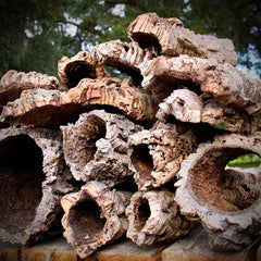 Natural Cork Bark Round for Reptile Terrarium Vivarium