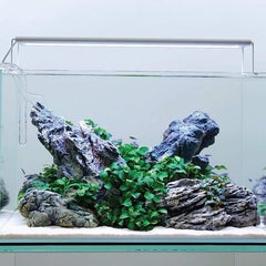 Seiryu Aqua Scaping Stone 1kg