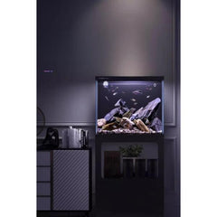 B&K Aquarium Super Crystal-Clear Fish Tank Complete Set (3 Sizes)