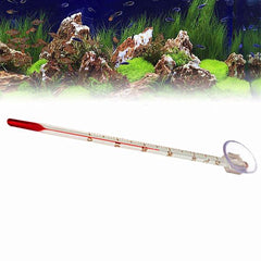 Long Glass Thermometer