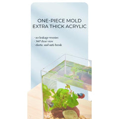 Acrylic Betta Fish Tank 16.5x12x16.5cm