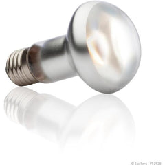 Exo Terra Reptile Intense Basking Spot Light Increase Luminous Intensity