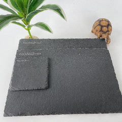 Turtle Reptile Rock Nail Grinding Plate