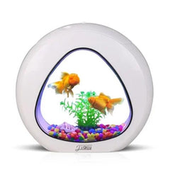 Small Desktop Aquarium Creative Tank with LED Lighting 2 Sizes
