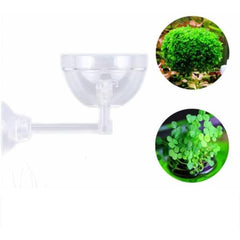 Aquatic Plant Pot Crystal Bowl Holder with Suction Cup for Aquarium Fish Tank Home Decorations
