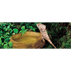 Exo Terra Water Dish Large Resin Bowl Water Food Dish Feeder for Reptiles Tank Terrarium