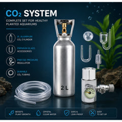 2L Aquarium Co2 Cylinder - Mafan G5/8 Regulator – 4 in 1 Diffuser Set – 2 Meter Co2 Hose Kit for Planted Tanks Complete Set