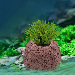 Aquarium Plant Anti-Floating Oval Rock –5.2 × 2.6 cm