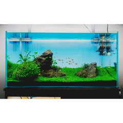 Nature Aquatic Plant Soil (Black and Red) 2kg