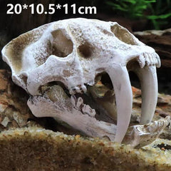 Tiger Skull Decoration Imitation Bone Skeleton
