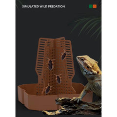 Reptile Feeding Bowl for Live Insects