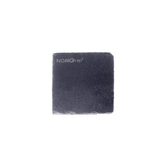 Turtle Reptile Rock Nail Grinding Plate