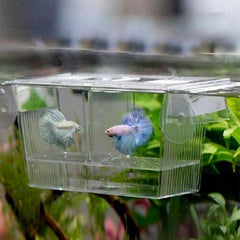 Breeding Box Hatchery 19.5x9.9x9.9cm