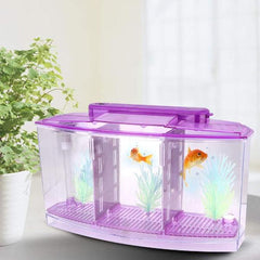 Isolation Acrylic Small Aquarium with 2 Color Lighting