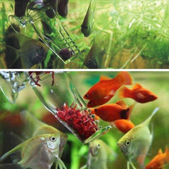 Planaria Trap Worm Catcher