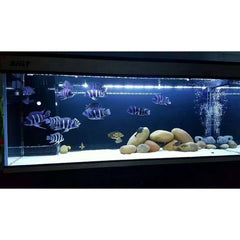 Shrimp Cichlid Betta Natural Breeding Hiding Cave Stones