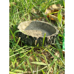 Reptile Vivarium Feeding Pan Turtle Horned Frog Water Food Bowl