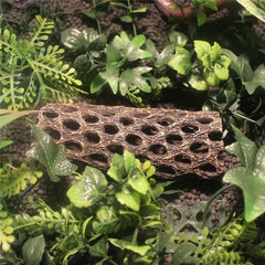 NomoyPet Resin Hide and Climbing Platform Decor