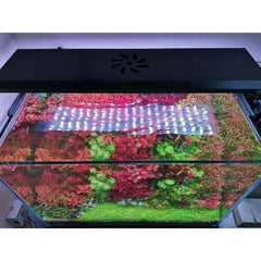 WEEK AQUA P Series Pandora APP control Aquarium Light P600 – P900 – P1200 Pro Adjustable height for big Size Fish Tank LED