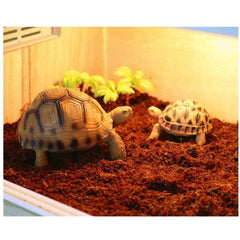 B&K Pet Tortoise Snake Frog Bedding and Reptile Substrate Coconut Reptile Turtle Hibernate Supplies Moss Climbing Mat
