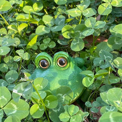 Air Bubbler Frog Aquarium Natural Ornament Decoration