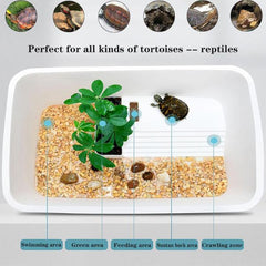 Turtle Tank Reptile Tortoise Habitat