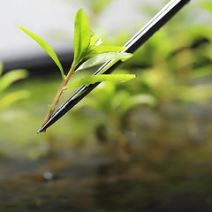 Aquapro Stainless Steel 45cm Straight Curved Aquarium Tweezer