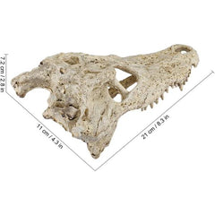 Crocodile Reptile Amphibian Skull Habitat Hide Premium Non-Toxic Resin for Aquariums & Terrariums