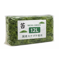 Natural Moss Green 12L Decorative Moss