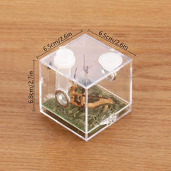 Spider Micro Big Habitat Small Pet Insect Breeding Box 360 Degree High Transparent