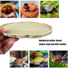 Reptile Feeding Plate Food Dish Vivarium Food Water Dish Resin Bowl for Gecko Snake Turtle Bearded Dragon