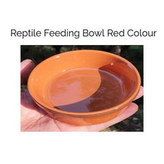 Reptile Feeding Bowl Red Colour