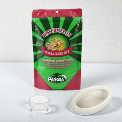 Pangea Watermelon Complete Gecko Diet - 56g, Small Reptile Feeding Dish Bowl, White Ceramic Reptile Food Bowl NFF-49 - COMBO