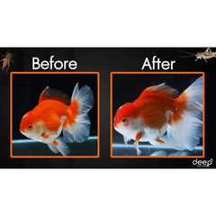 Deep Insect Inside Goldfish 100g Floating