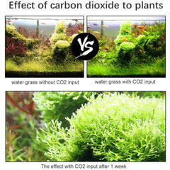 DIY CO2 Generator System Kit with Solenoid Valve Diffuser Included