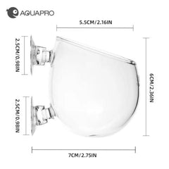 AQUA PRO - Plant Holder Glass