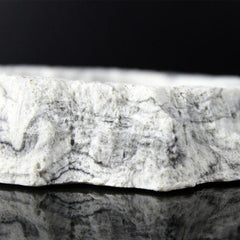 NOMOYPET Reptile Food Dish NS-61