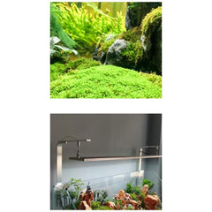 RGB Full Spectrum Fish Tank Light Remote-Control Aquarium Led for Aquarium Plant Growth