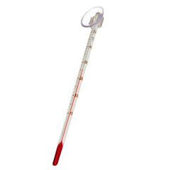 Long Glass Thermometer