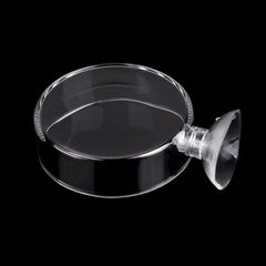 Transparent Smooth Durable Crystal Shrimp Food Dishes Feeding Bowl