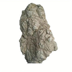 Turtle Stone 1kg