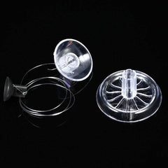 Clear Snail Trap for Planarian Leech