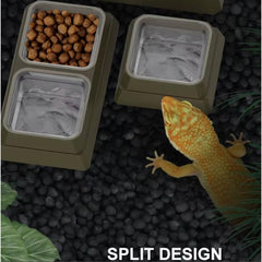 Reptile Feeding and Watering Bowl Single Double (3 Sizes)