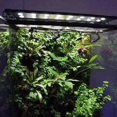 Adjustable Spray for Rainforest & Fish Tanks