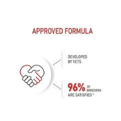 ROYAL CANIN B&K Feline Breed Nutrition Persian Adult Cat Dry Food 4kg