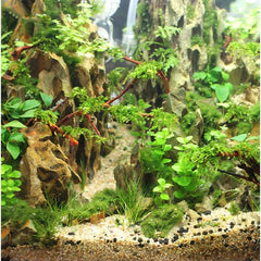 1 KG Pearl Gravel Sand 2-3mm